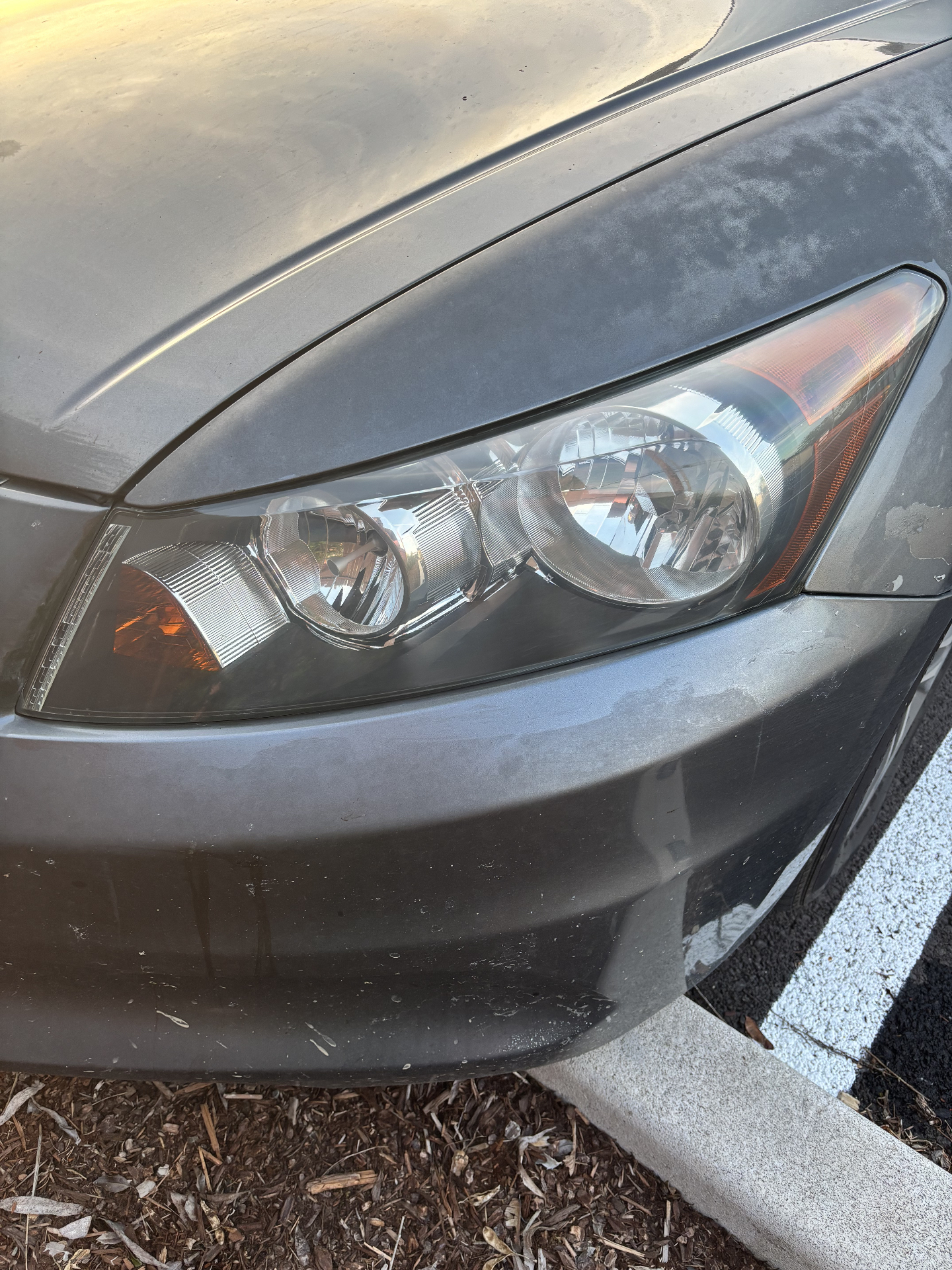 Restored headlight — clear lens after professional restoration